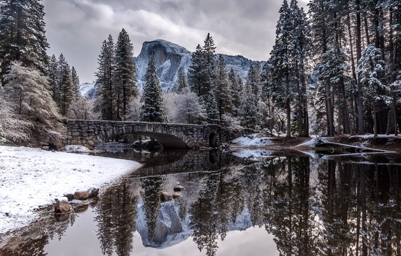 Photo wallpaper Nature, Winter, Landscape, Bridge, Snow, River, Trees