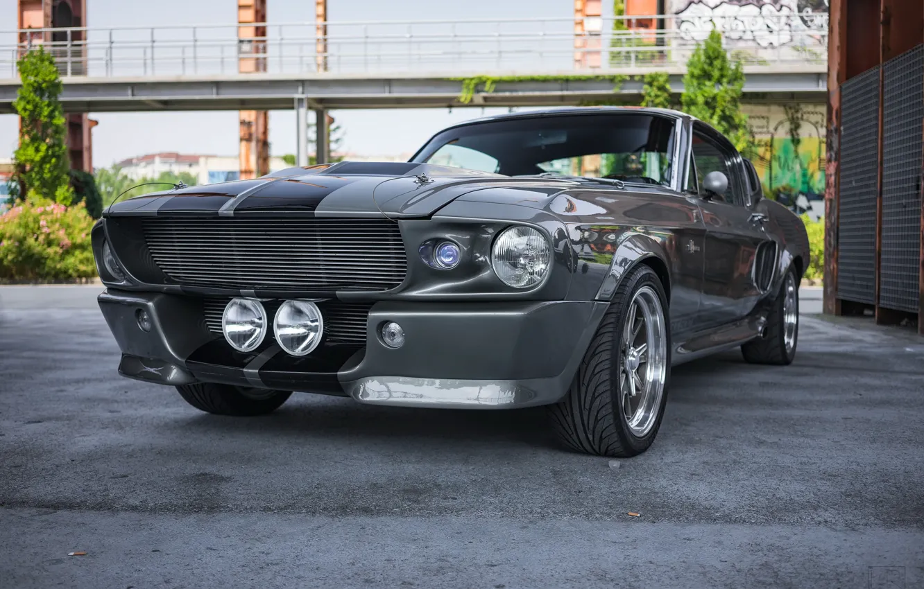 Photo wallpaper Mustang, Ford, Shelby, 1967, Fastback, Elenor