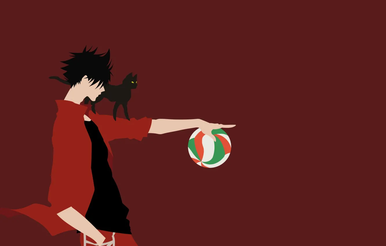 Wallpaper Cat The Ball Guy Volleyball Haikyuu Images For