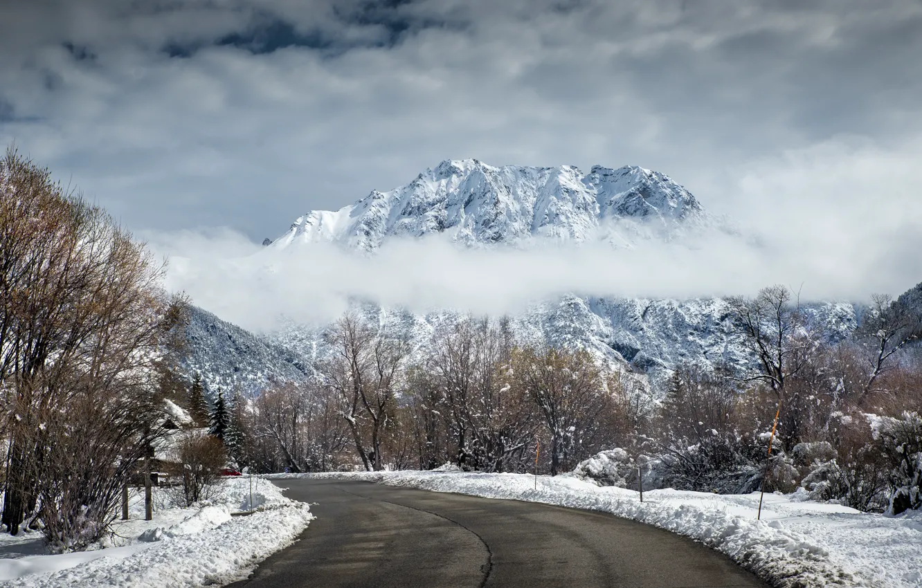 Photo wallpaper winter, snow, trees, landscape, mountains, road, trees, landscape, nature, winter, mountains, snow, snowy
