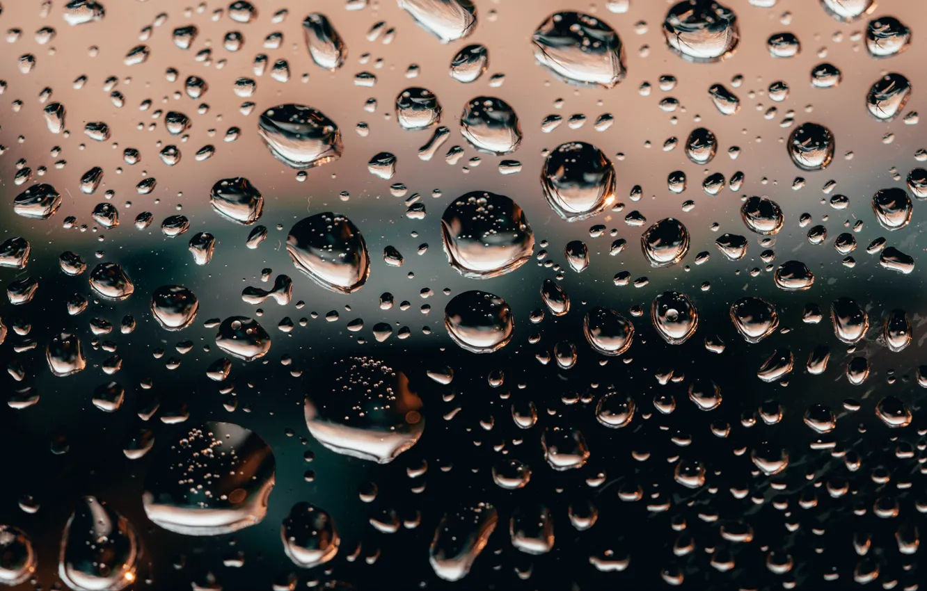 Wallpaper glass, water, drops, rain, glass, water images for desktop,  section макро - download