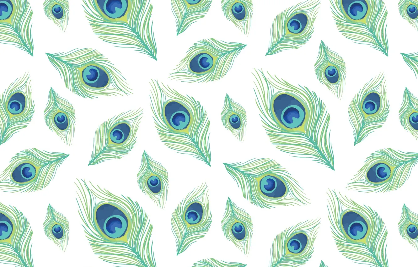 Wallpaper white, blue, green, background, texture, design, pattern,  feather, peacock images for desktop, section текстуры - download