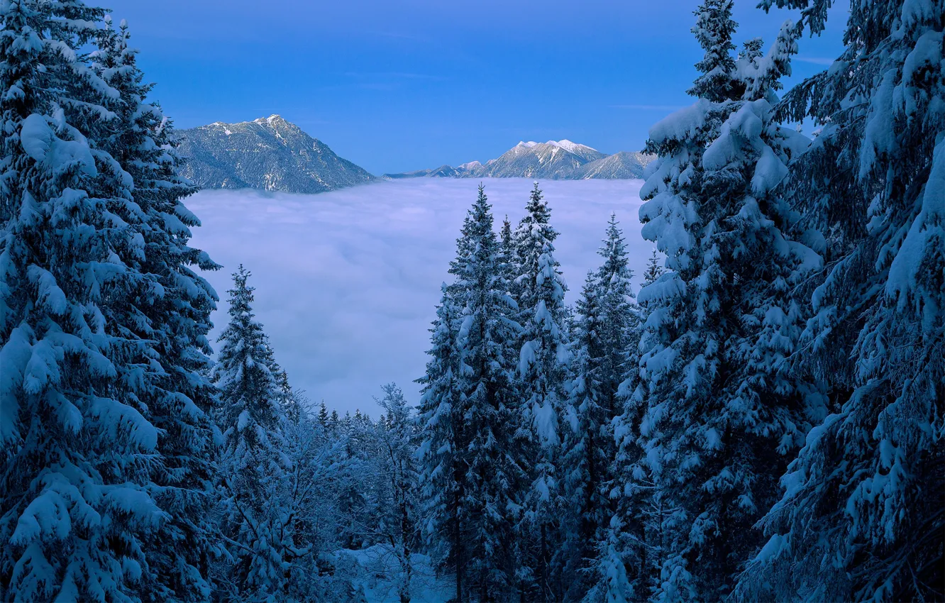 Wallpaper winter, forest, clouds, snow, trees, landscape, mountains, nature,  ate images for desktop, section пейзажи - download