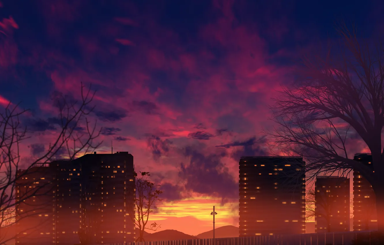 Photo wallpaper the sky, trees, sunset, the city