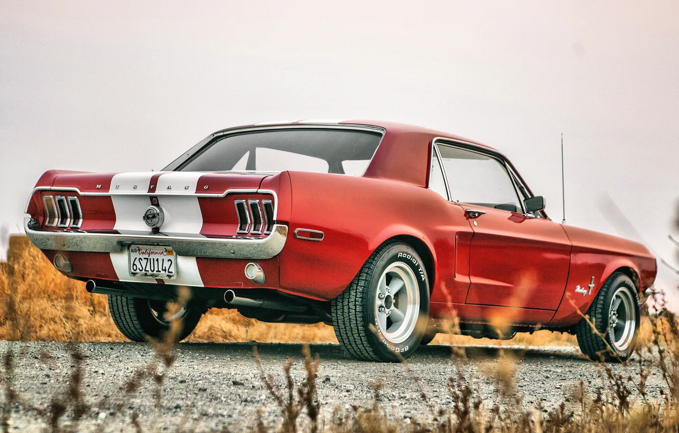 Photo wallpaper Mustang, Ford, Ford Mustang, 1967, Ford Mustang, Muscle Car