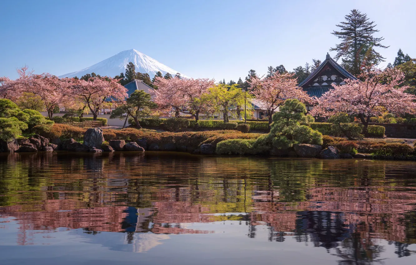 Photo wallpaper trees, nature, pond, Park, reflection, stones, mountain, home, spring, Japan, Sakura, flowering, Fuji