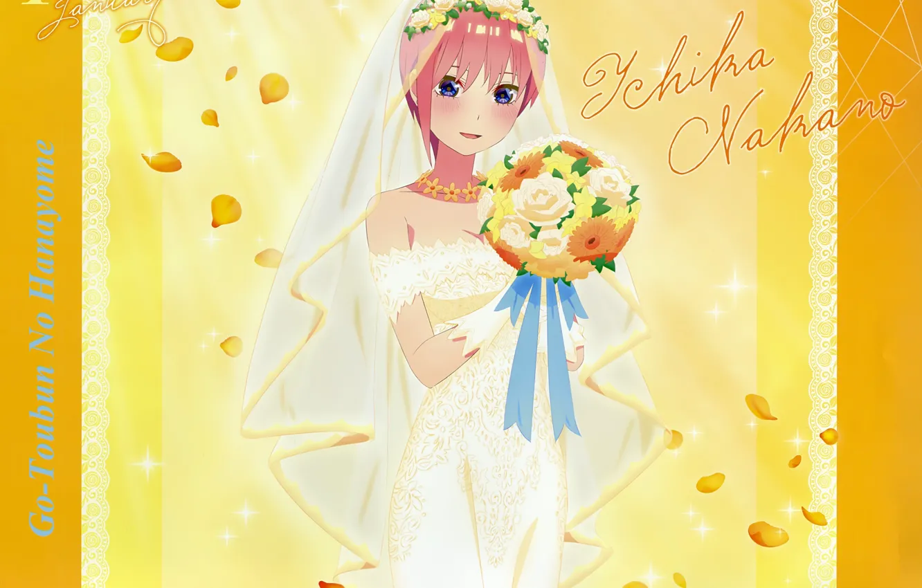 Photo wallpaper neckline, the bride, veil, wedding dress, the bride's bouquet, a wreath of roses, go-toubun no …
