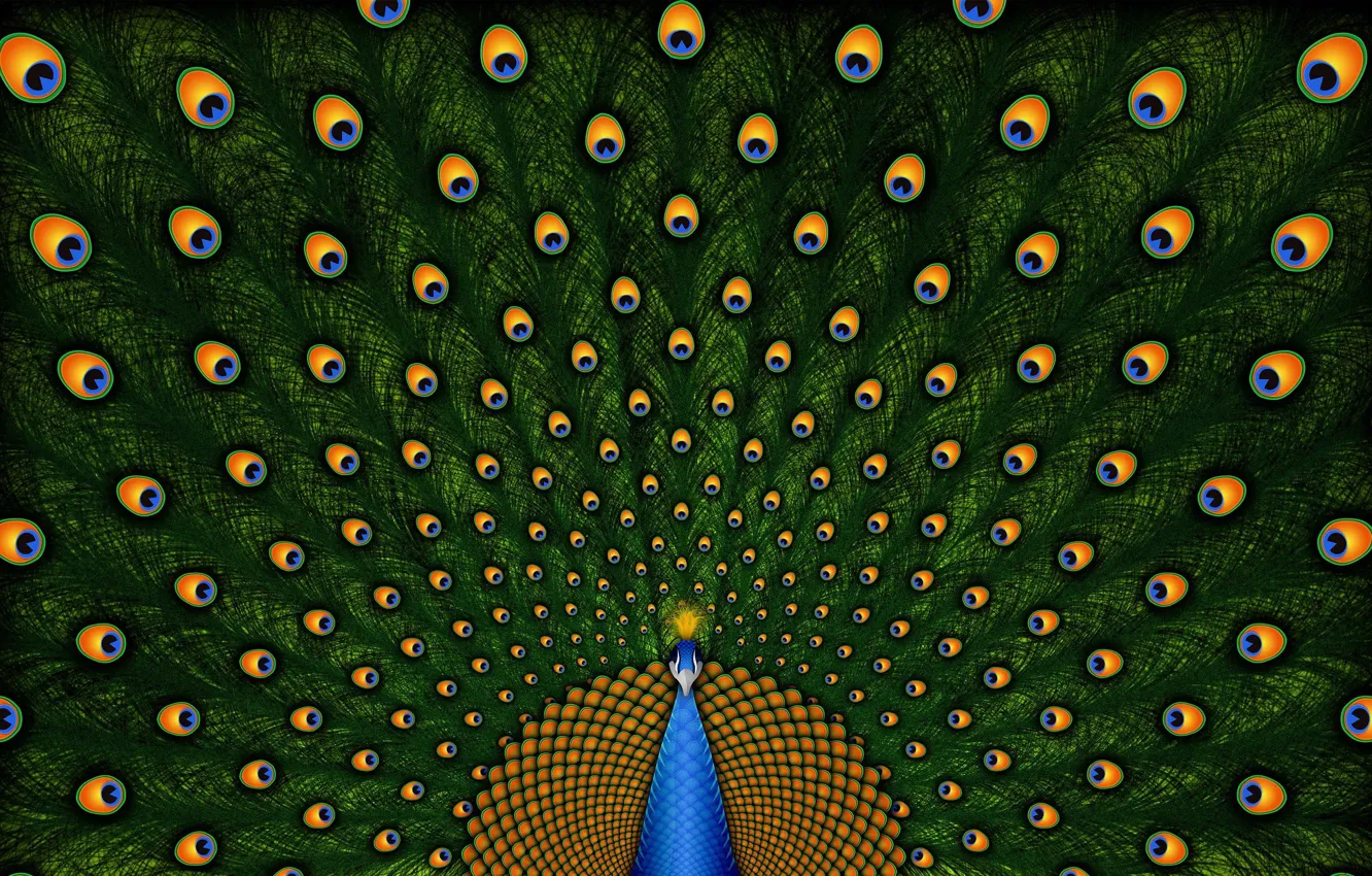 Wallpaper nature, pattern, peacock images for desktop, section текстуры -  download