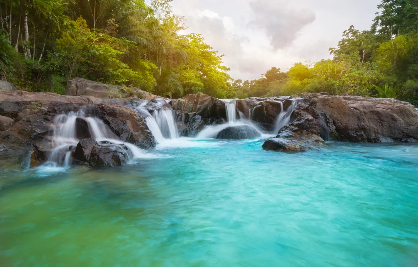 Photo wallpaper forest, landscape, river, rocks, waterfall, summer, forest, tropical, river, landscape, beautiful, waterfall, tropical