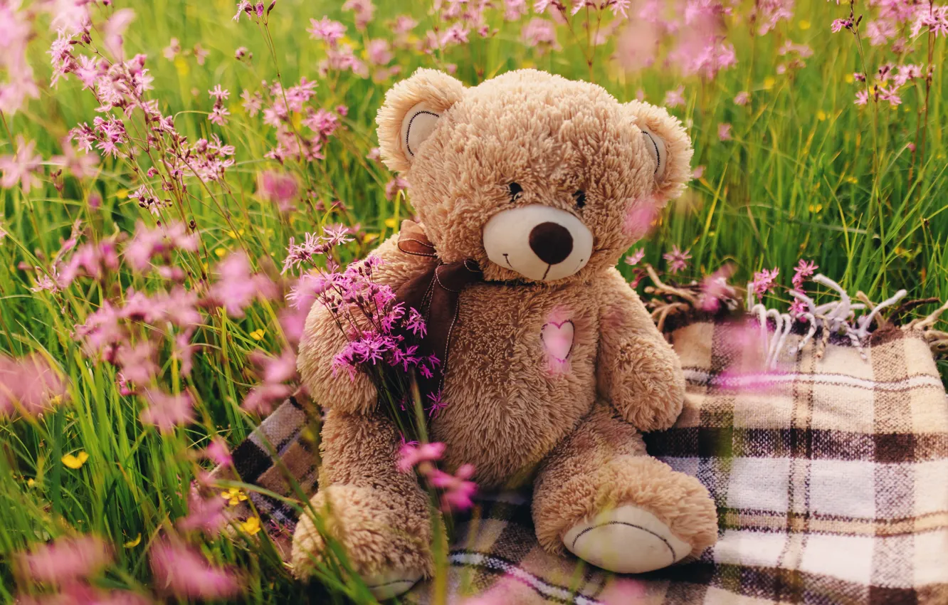 Wallpaper field, flowers, bear, love, field, heart, pink, flowers,  romantic, spring, teddy bear, cute, meadow images for desktop, section  настроения - download