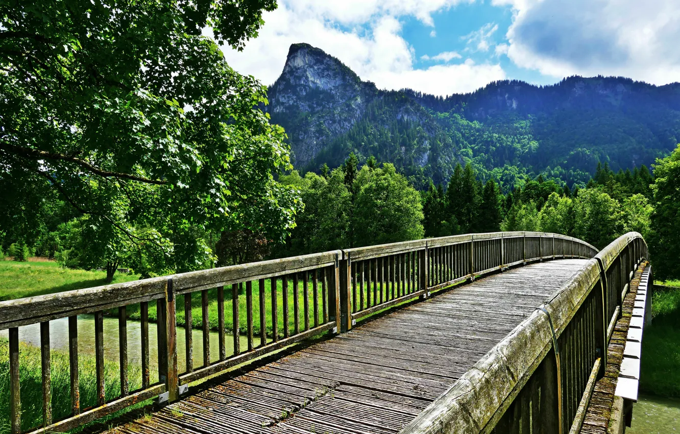 Wallpaper Forest River Bridge Mountains Beautiful Landscape Images