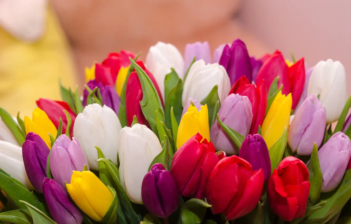 Wallpaper Flowers, Bouquet, Colorful, Tulips, Flowers, Tulips, Spring DC7