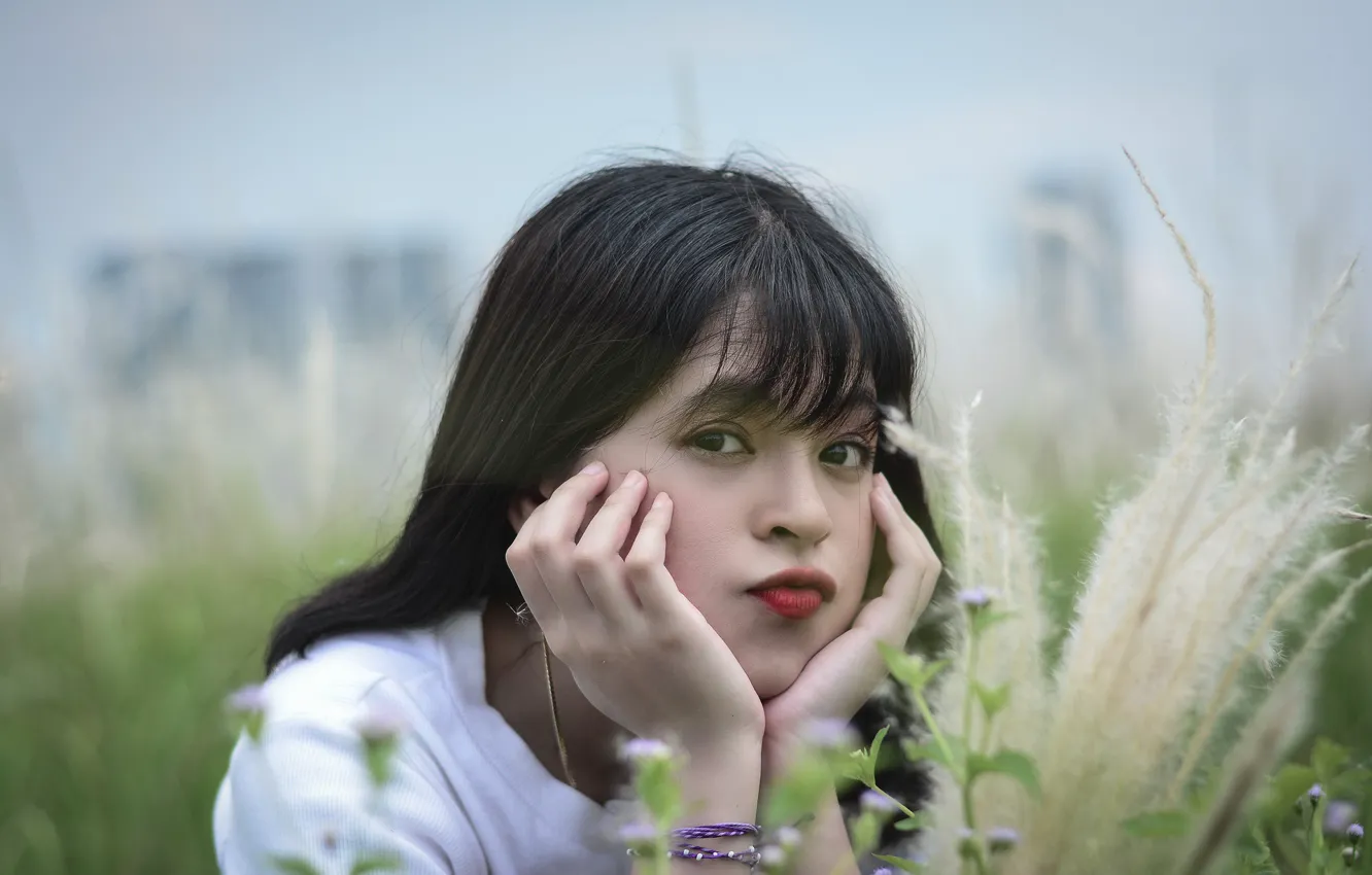 Photo wallpaper grass, grass, Asian, blurred background, asian, cute girl, cute...
