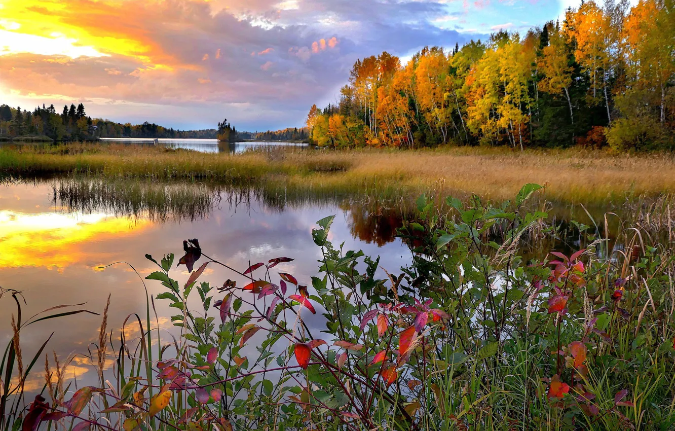 Photo wallpaper autumn, landscape, sunset, nature, lake, Canada, grass, forest, Bank, QC