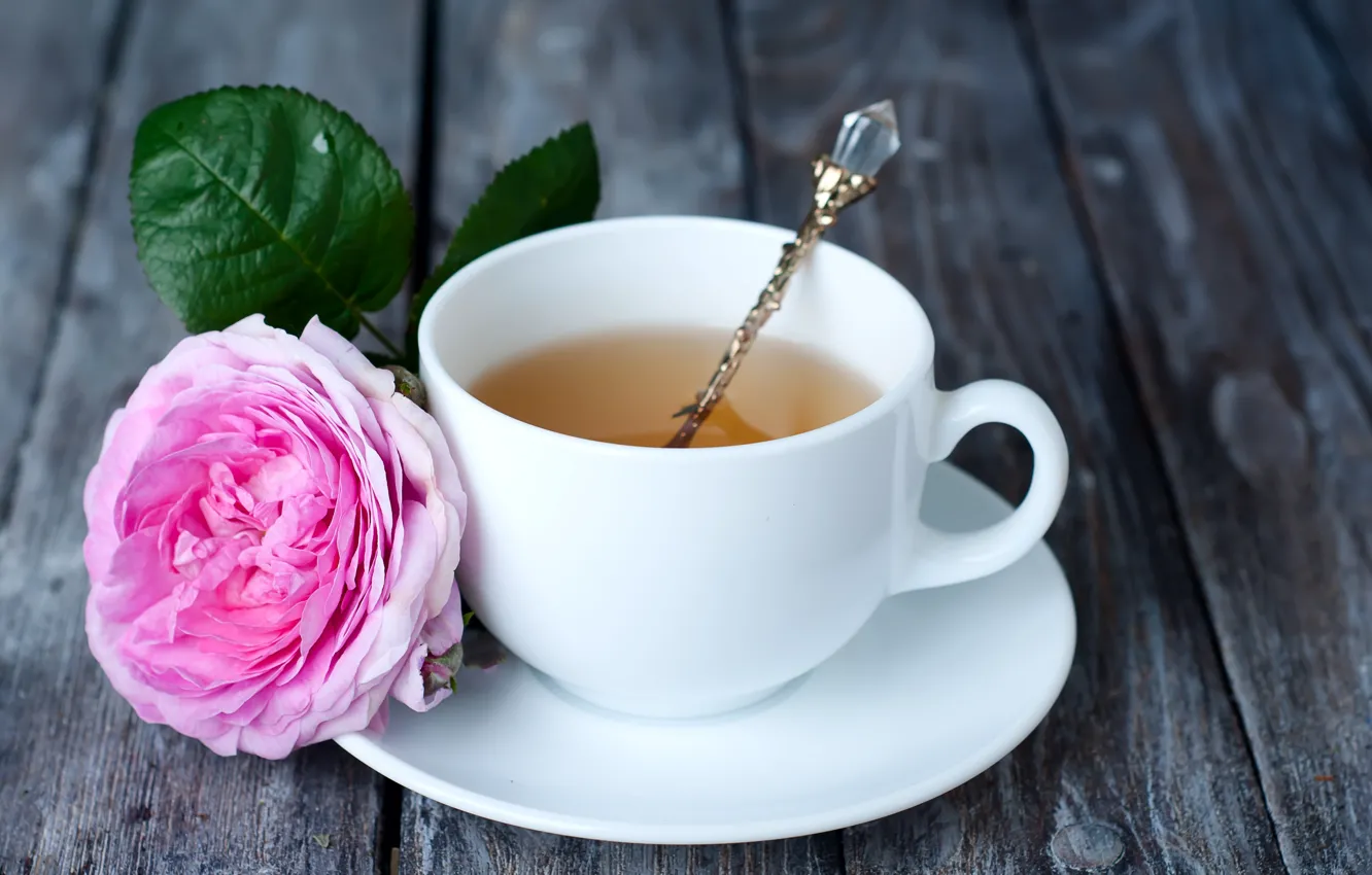 Wallpaper flowers, roses, pink, wood, pink, flowers, cup, roses, tea, Cup  of tea images for desktop, section еда - download