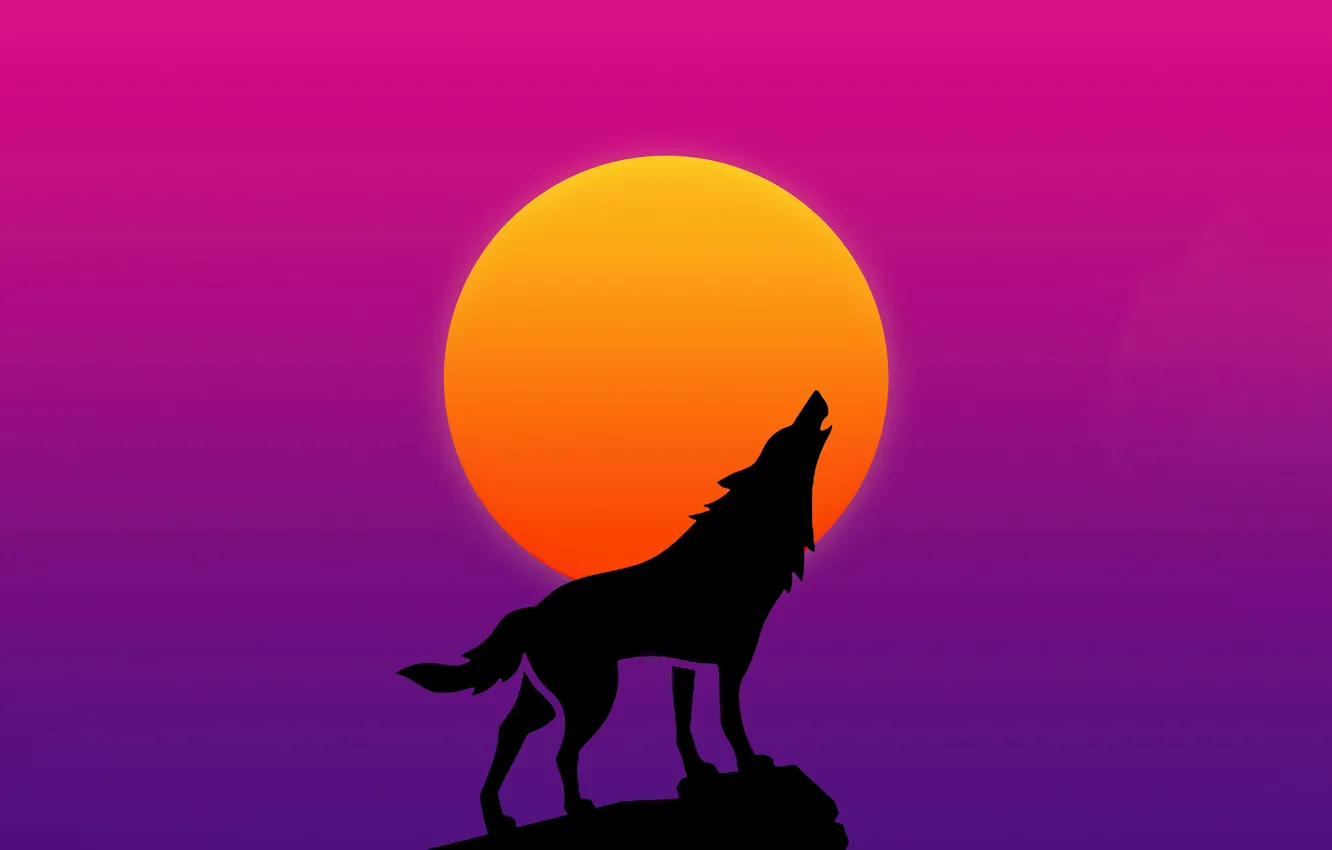 Photo wallpaper animal, the moon, wolf, predator, silhouette, moon, howl, predator, animal, wolf, silhouette, howl