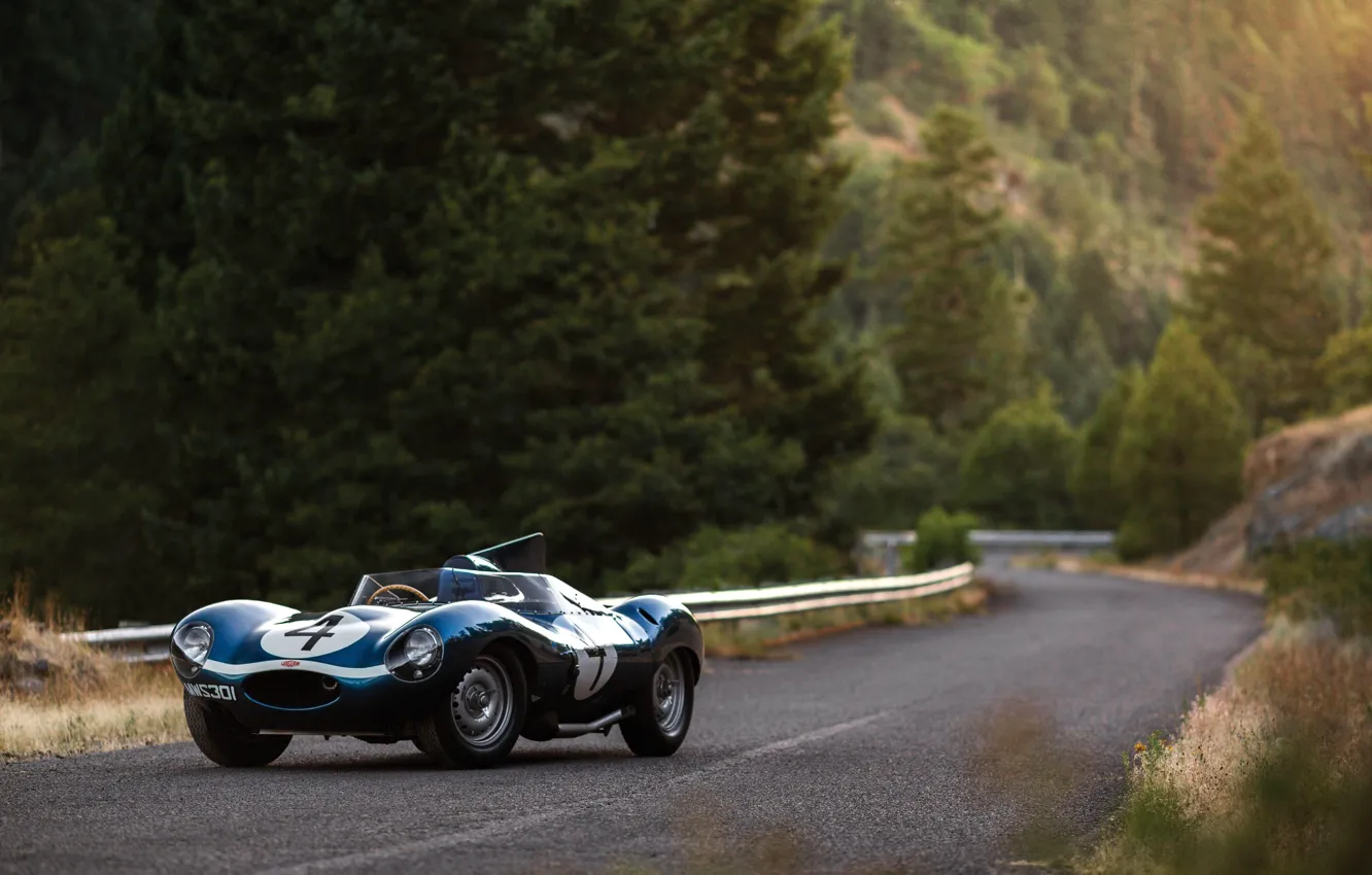 Photo wallpaper Road, Race Car, Forest, Jaguar D-Type
