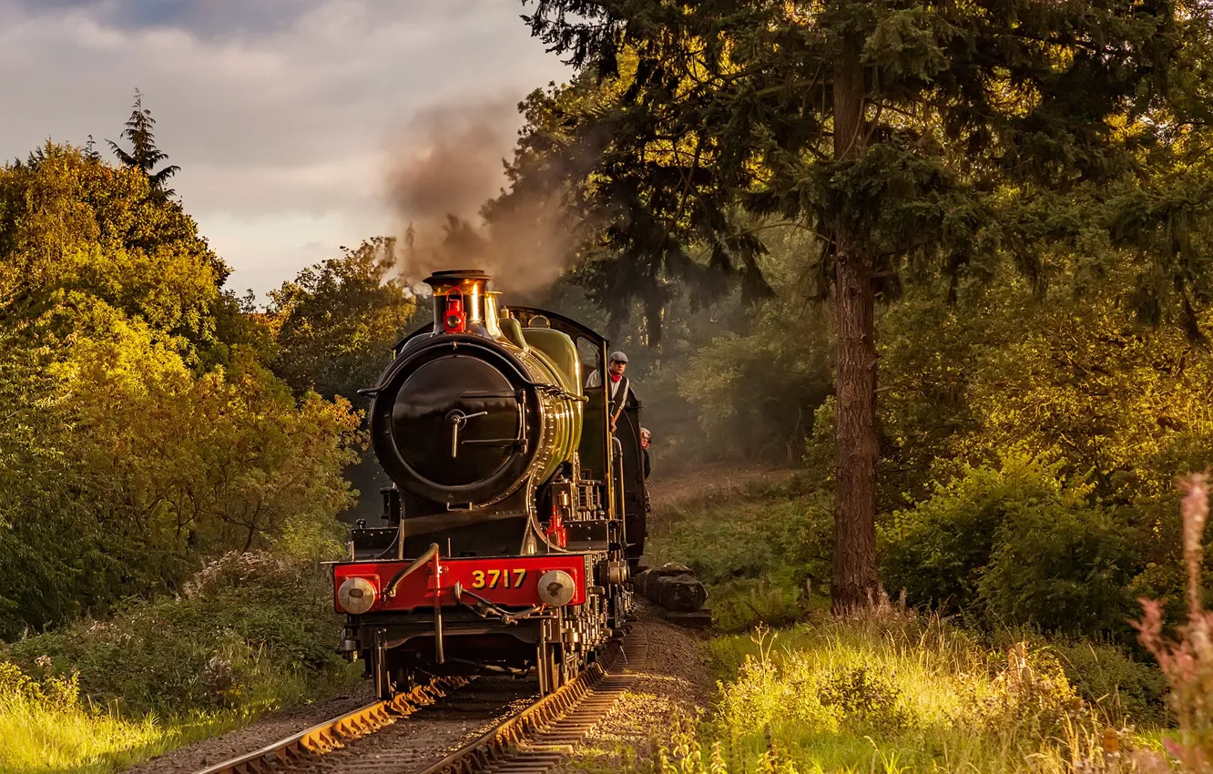 Photo wallpaper forest, trees, England, rails, the engine, railroad