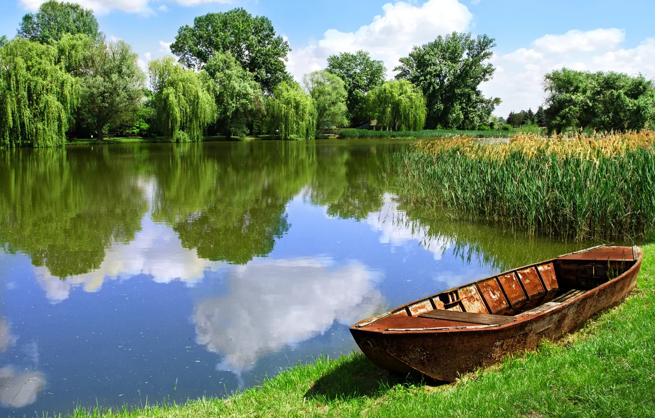 Photo wallpaper forest, field, lake, beautiful landscape, boat