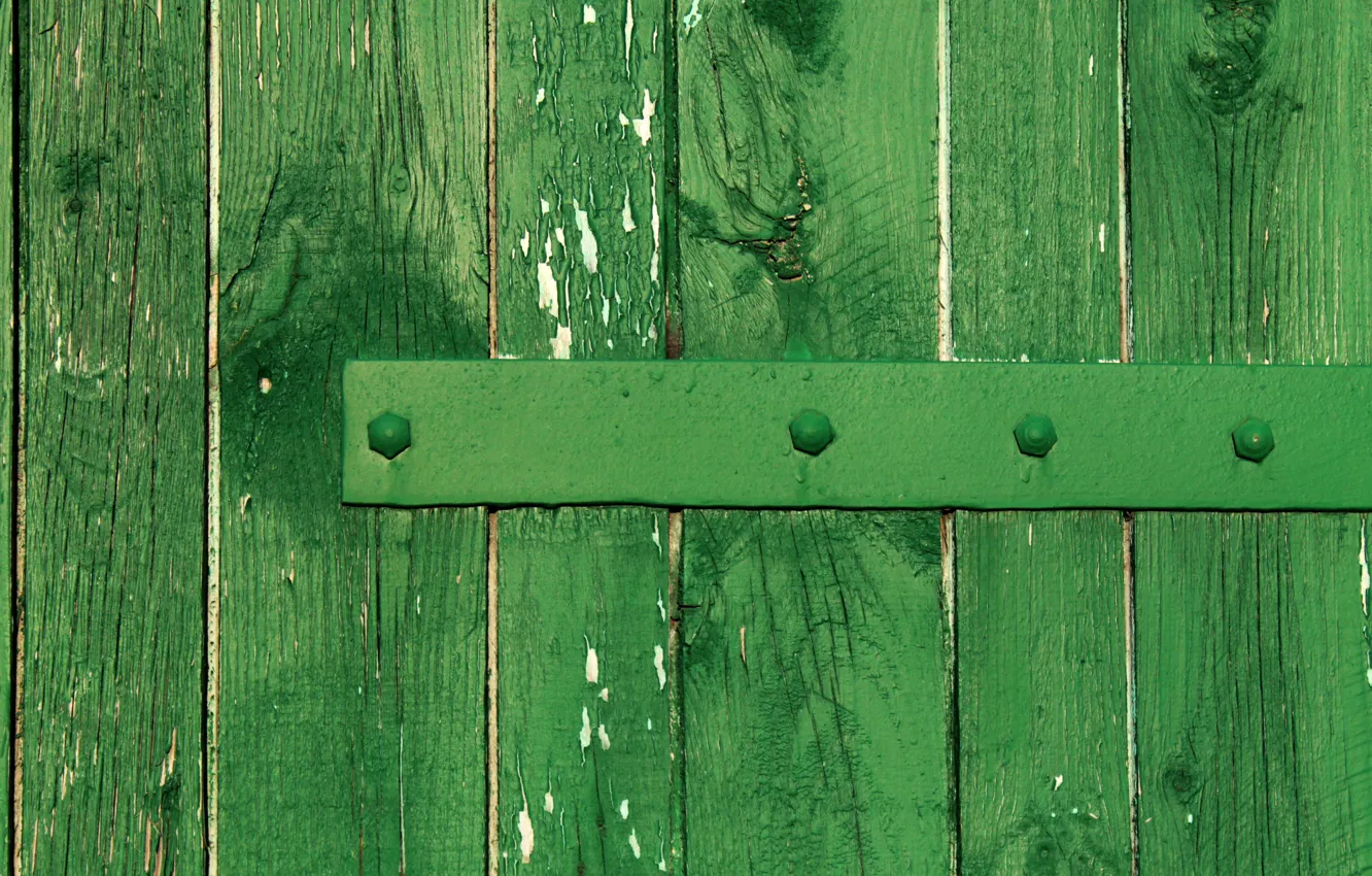 Photo wallpaper metal, tree, Board, the fence, green fence, the green Board