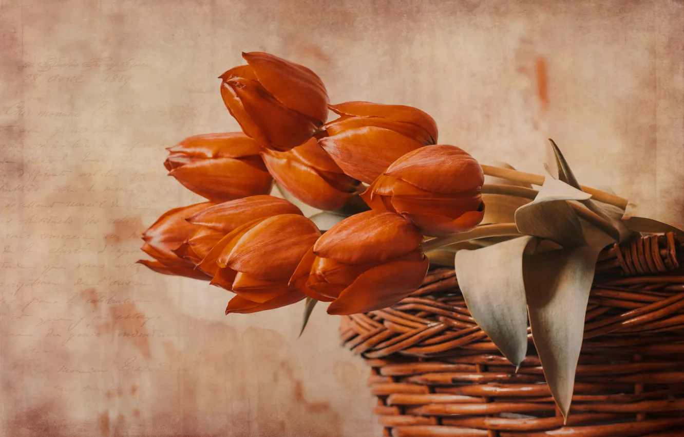Photo wallpaper basket, texture, tulips