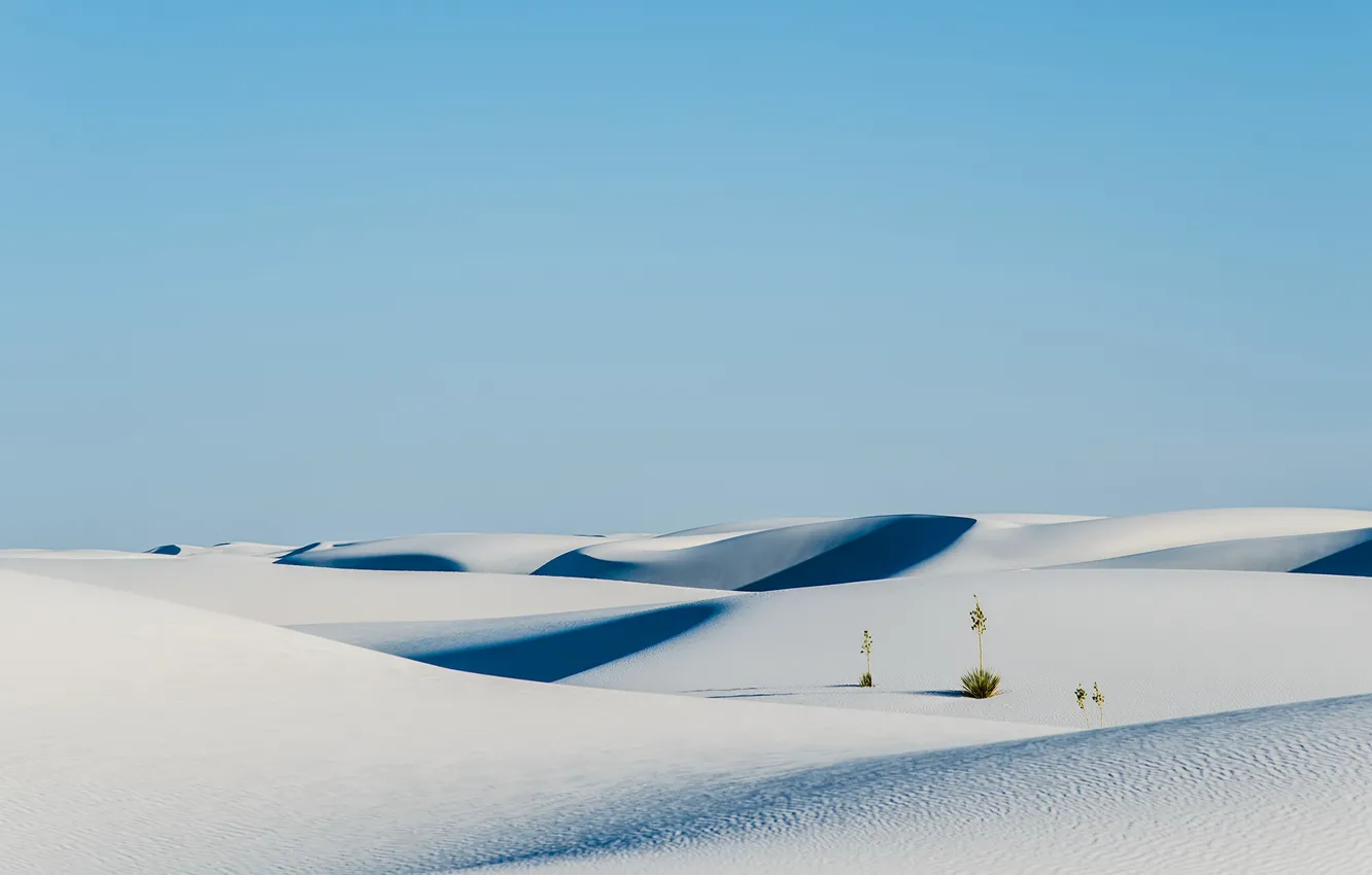 Wallpaper sky, nature, sand, plants, Desert, shrubs, white sand, dunes  images for desktop, section природа - download