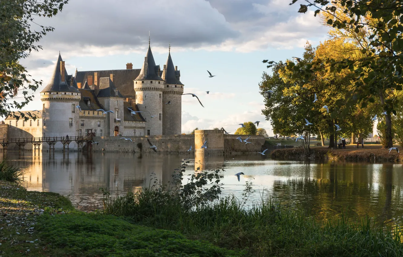Photo wallpaper birds, pond, castle, France, Sully sur Loire