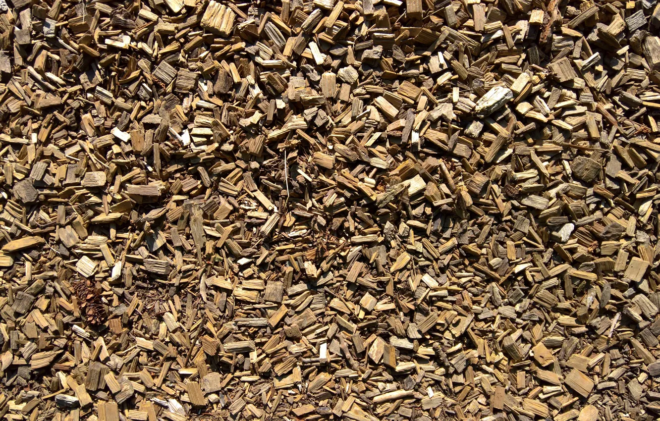 Photo wallpaper wallpaper, wood, texture, background, path, shred, shredded wood
