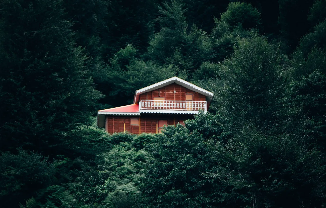 Wallpaper House, Nature, Green, Landscape, Relax, Trees images for desktop,  section природа - download