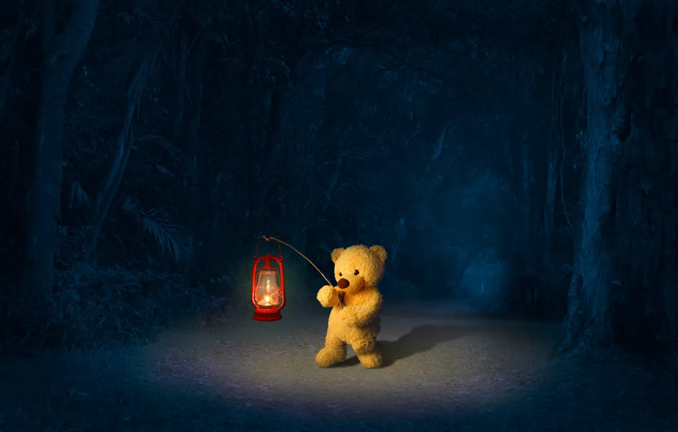 Photo wallpaper road, forest, night, bear, lantern, bear, Teddy bear
