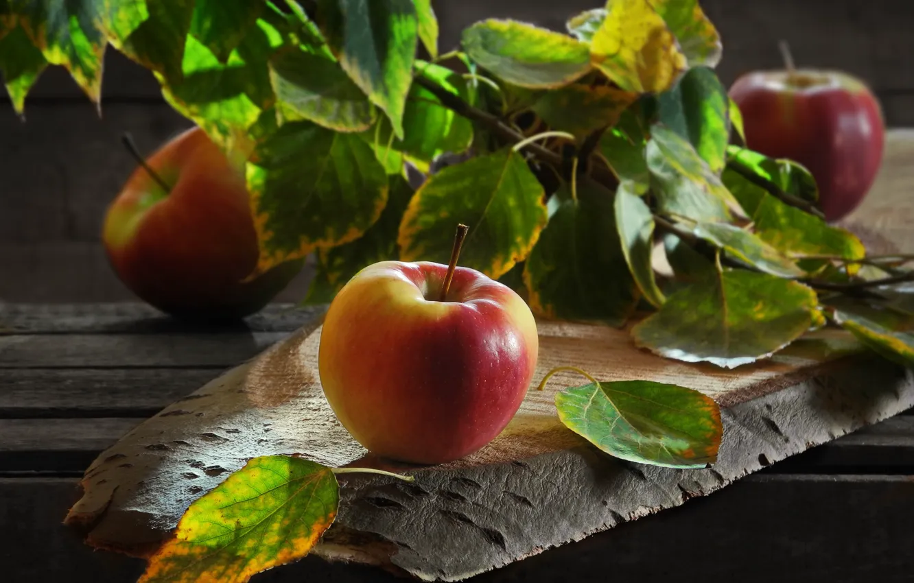 Photo wallpaper leaves, apples, Board, branch, fruit, Sergey Pounder