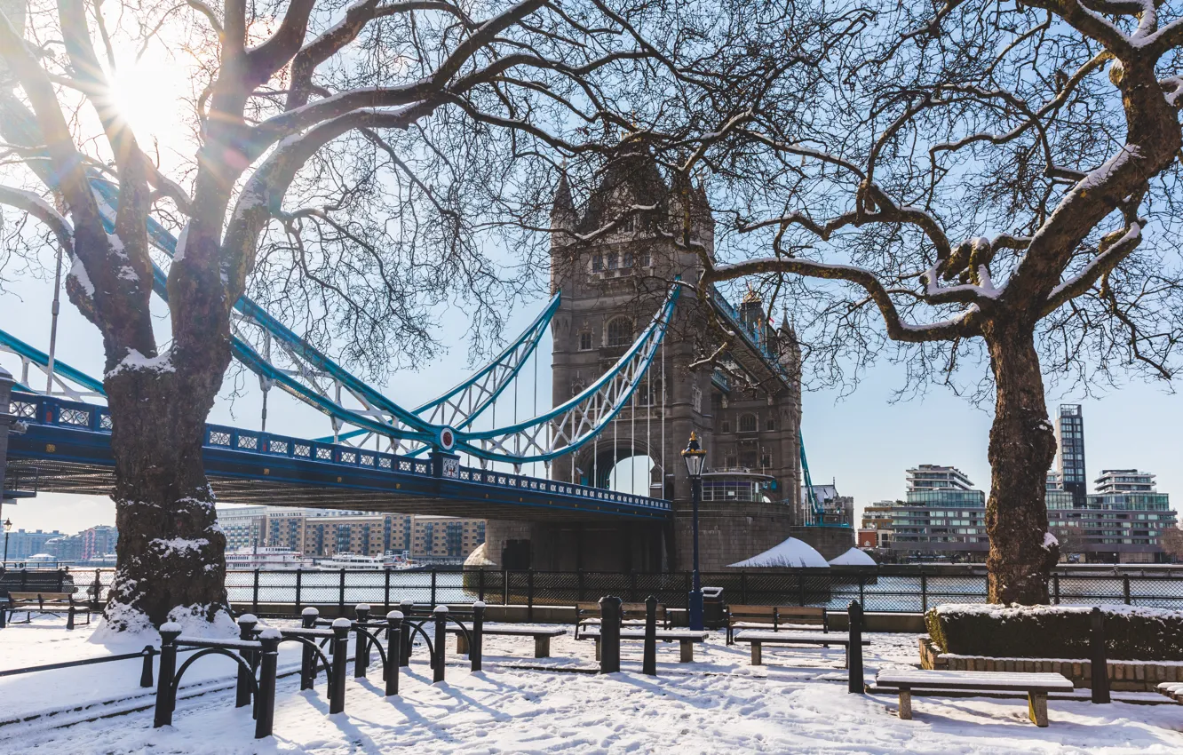 Wallpaper London, Winter, Trees, River, Snow, UK, Tower bridge, Snow, Tower  Bridge, London, River Thames, The River Thames images for desktop, section  город - download