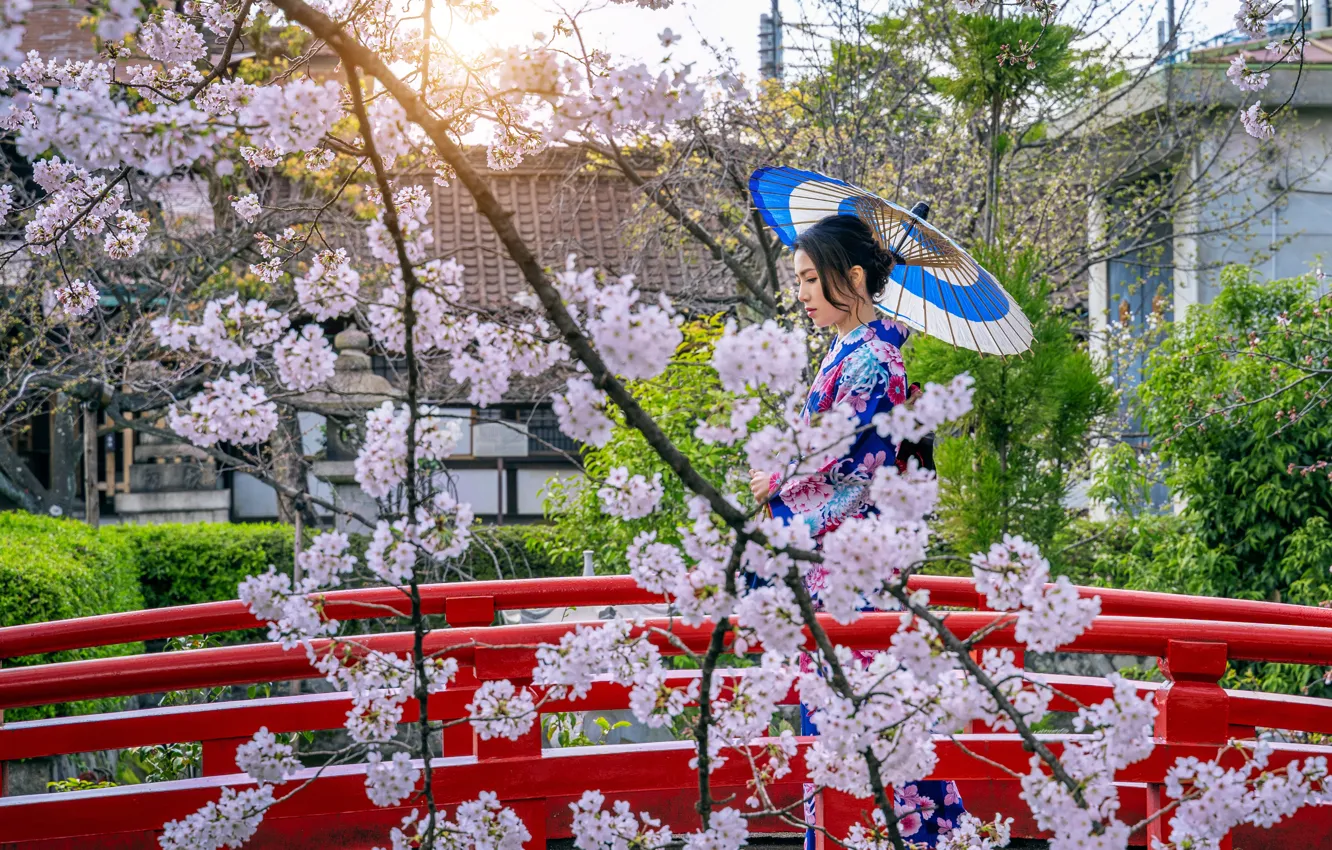 Photo wallpaper bridge, cherry, Japanese, spring, umbrella, Japan, Sakura, Japan, kimono, flowering, woman, bridge, umbrella, blossom, sakura, …