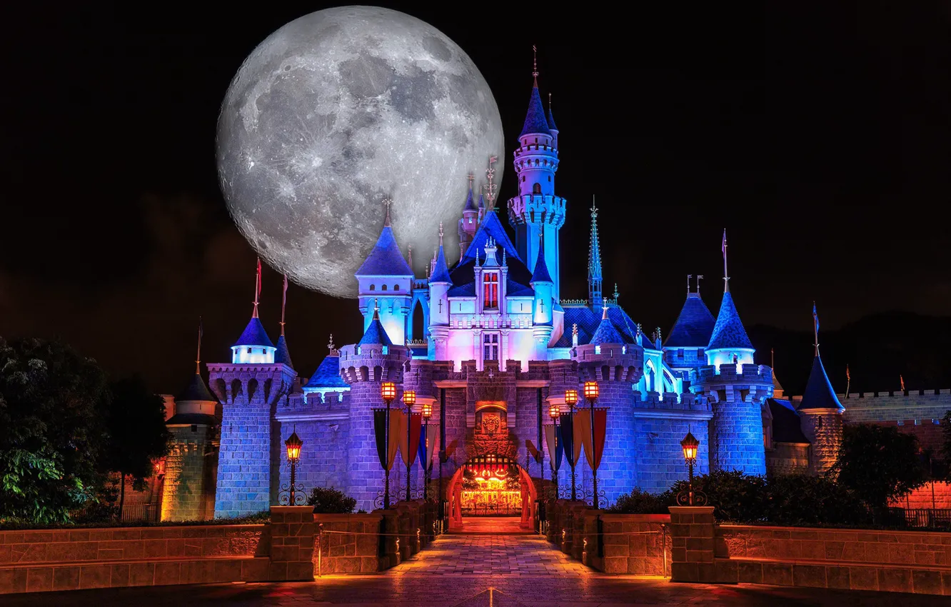 Wallpaper Night Castle The Moon Disneyland Images For Desktop