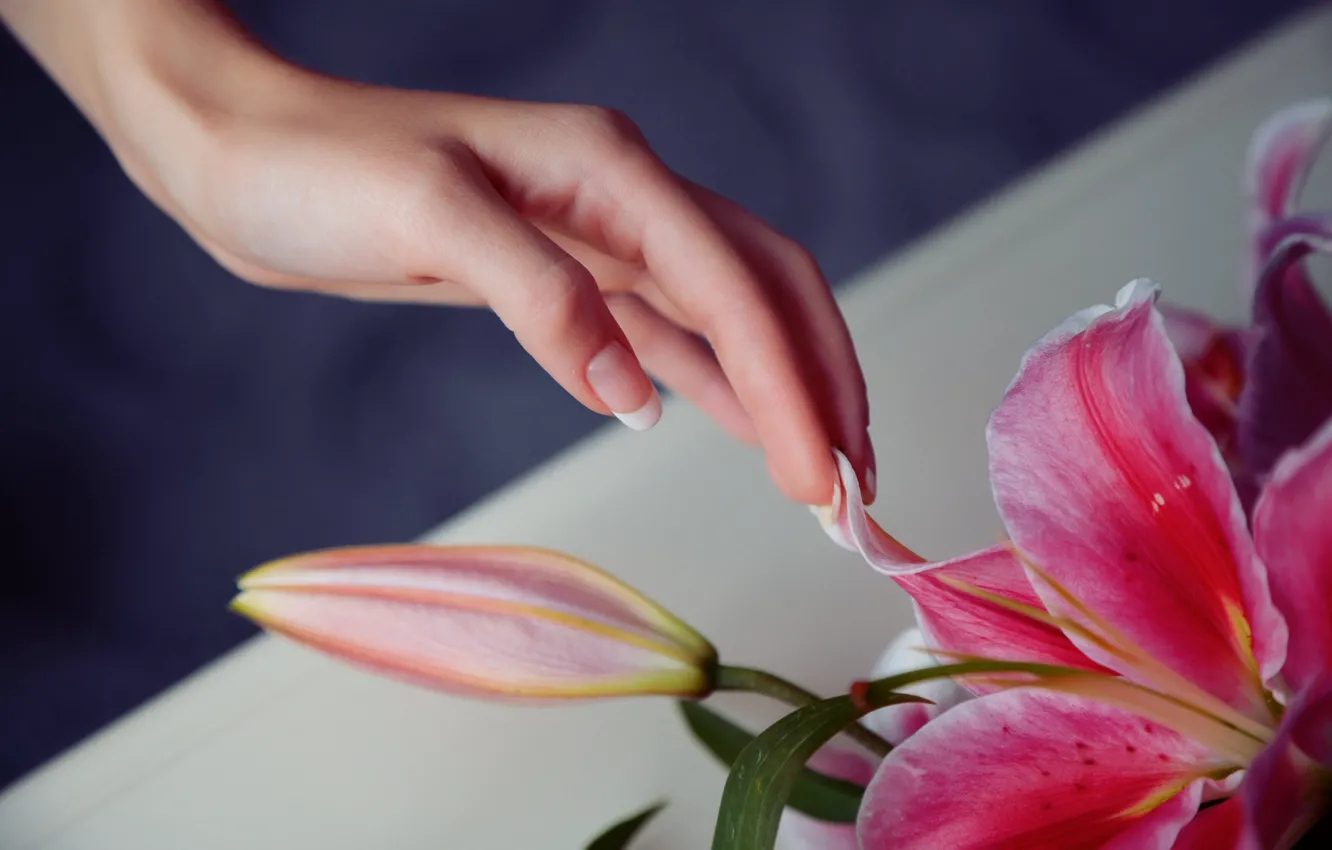 Photo wallpaper flower, girl, nature, hand, finger