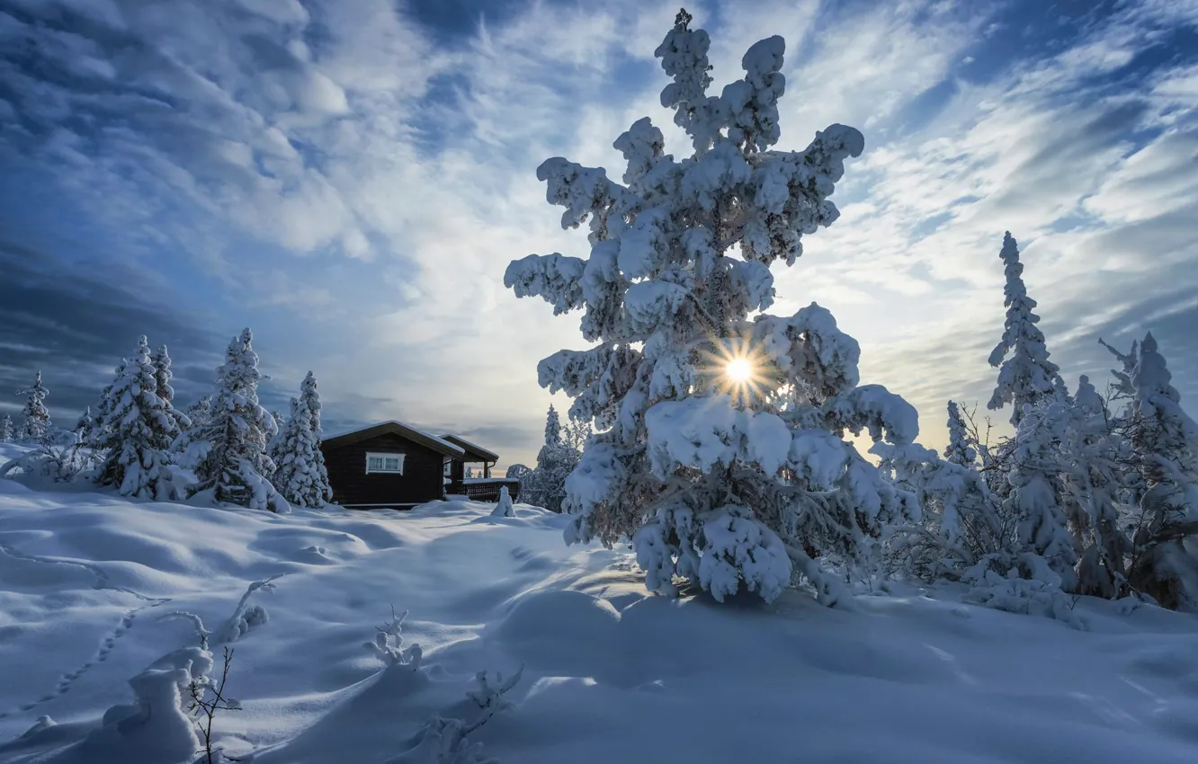 Wallpaper winter, the sun, rays, snow, trees, landscape, nature, home, ate,  Norway images for desktop, section пейзажи - download