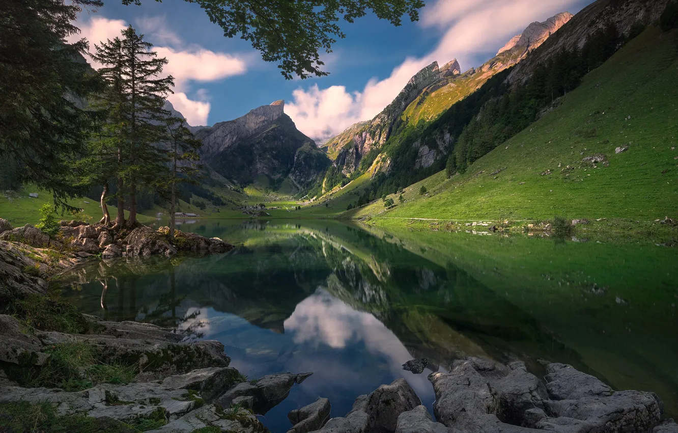 Wallpaper forest, the sky, light, mountains, branches, lake, reflection ...