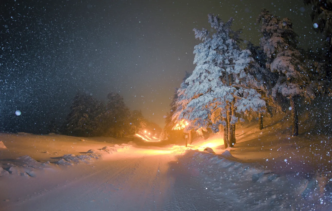 Photo wallpaper Winter, Night, Snow, Winter, Night, Snow, Winter landscape, Winter Landscape, Снежные деревья, Snow Trees