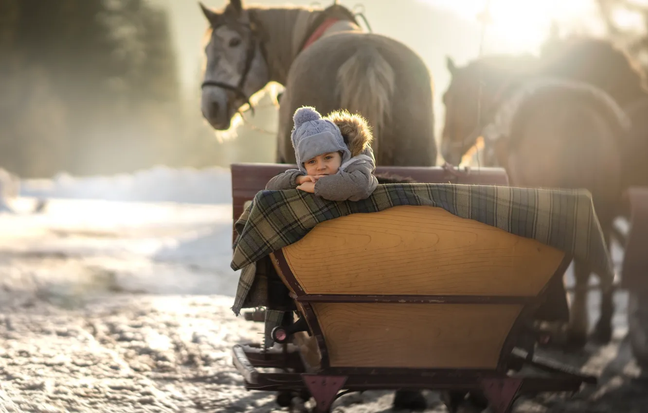 Photo wallpaper winter, snow, baby, horse, sleigh