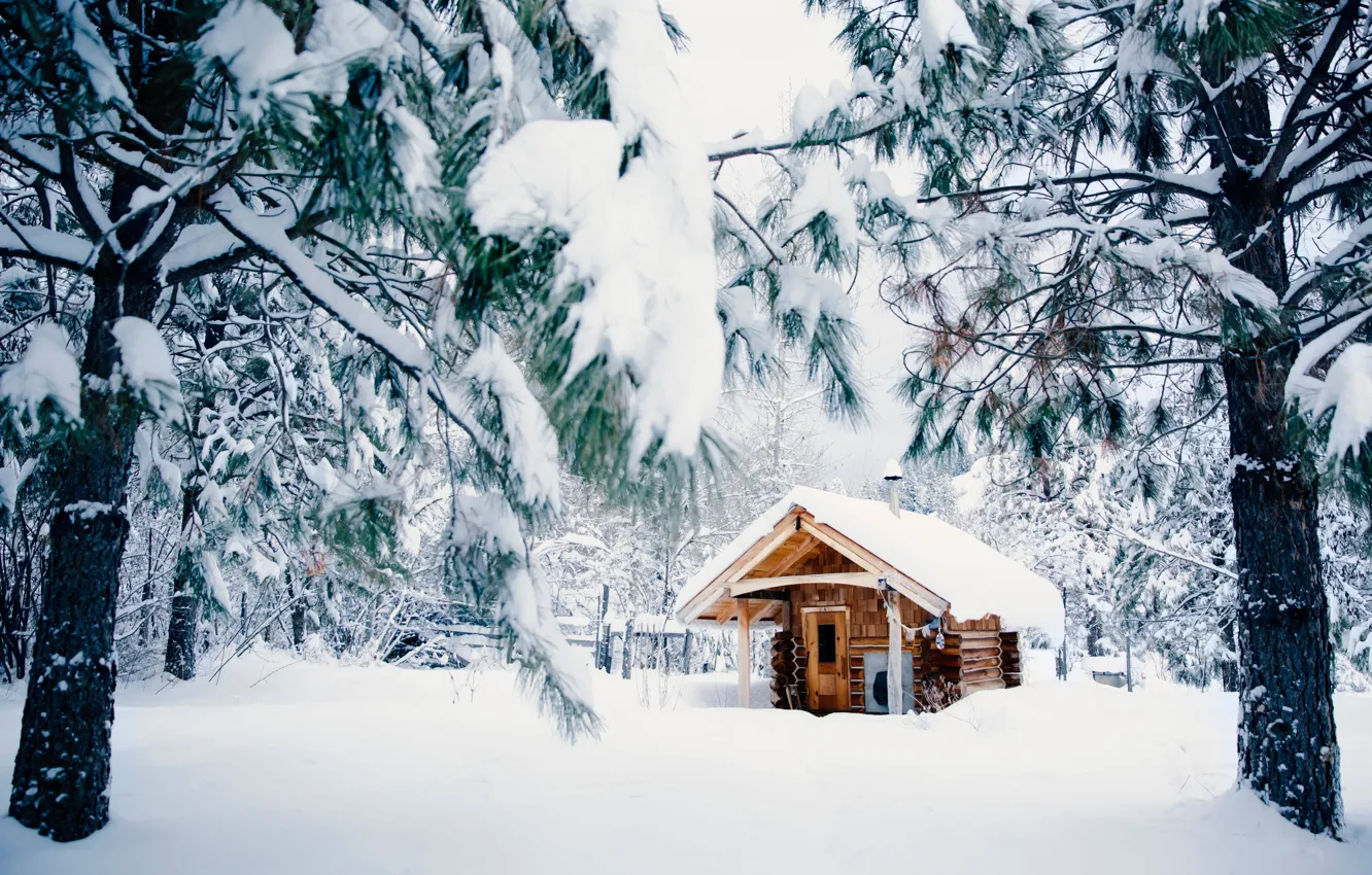Photo wallpaper Nature, Winter, Snow, House, House, Nature, Winter, Snow, Winter forest, Snow trees, Winter forest, Снежные …