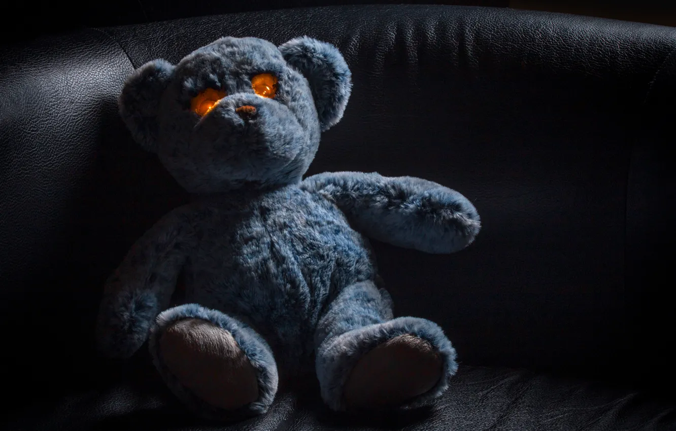 Photo wallpaper toy, bear, bear, Teddy bear, glowing eyes