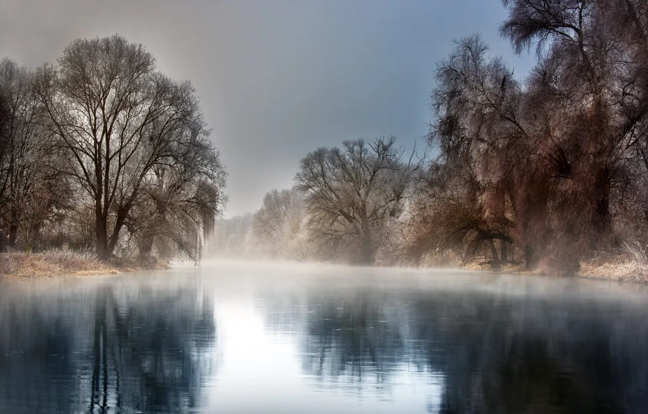 Photo wallpaper winter, frost, trees, landscape, nature, fog, reflection, river, frost, Robert Didierjean
