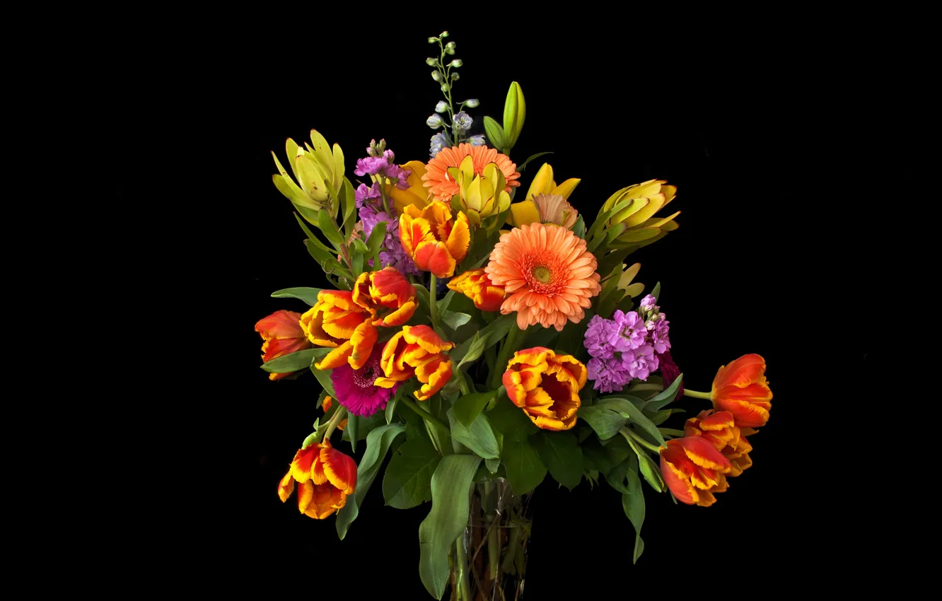 Wallpaper Flowers Bouquet Tulips Vase Black Background Gerbera Gillyflower Mattiola Images For Desktop Section Cvety Download