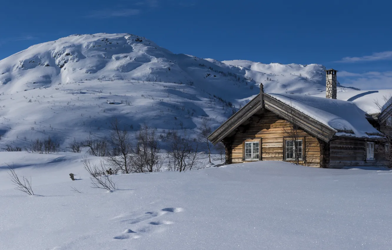 Photo wallpaper winter, snow, hills, Norway, house