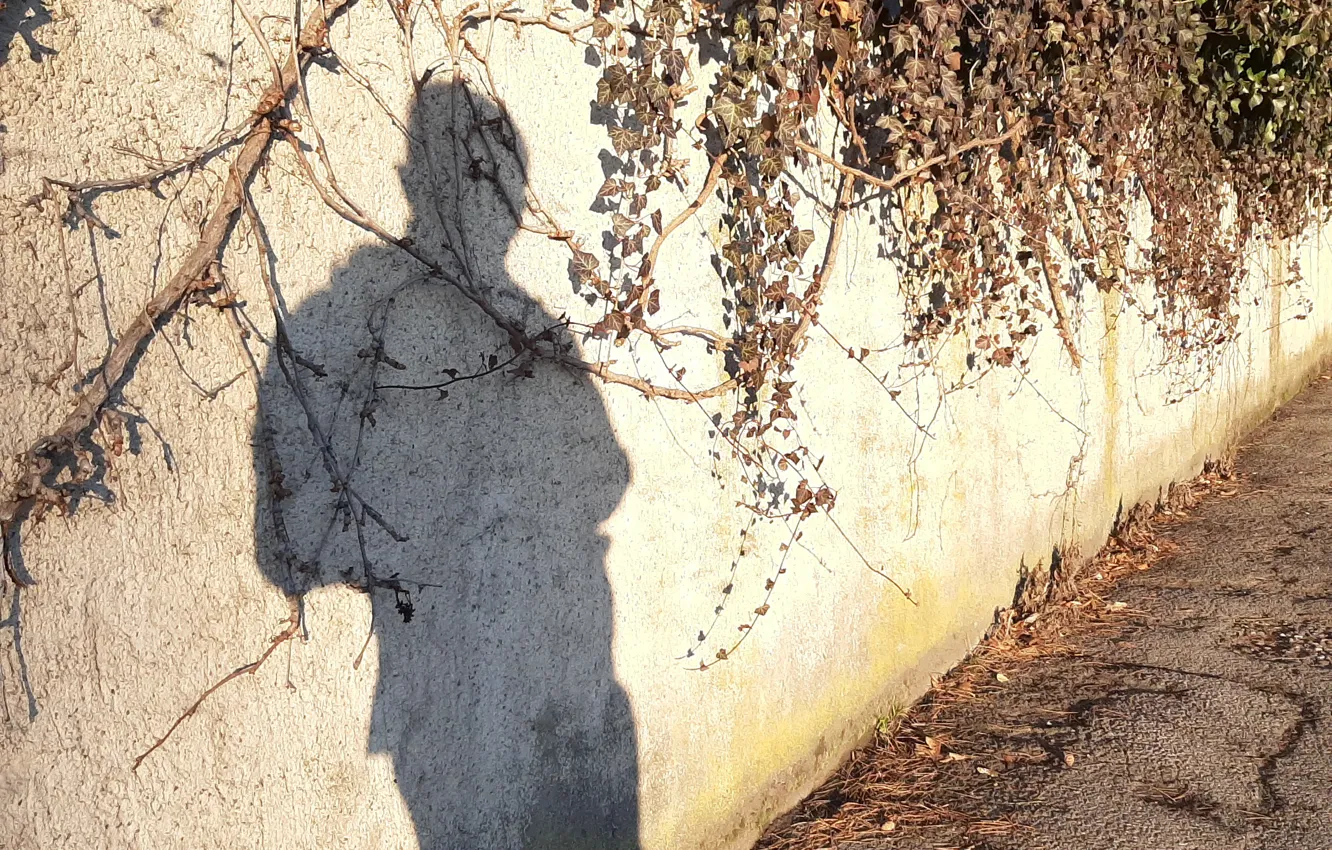 Photo wallpaper wall, winter, man, shadow, walking, february