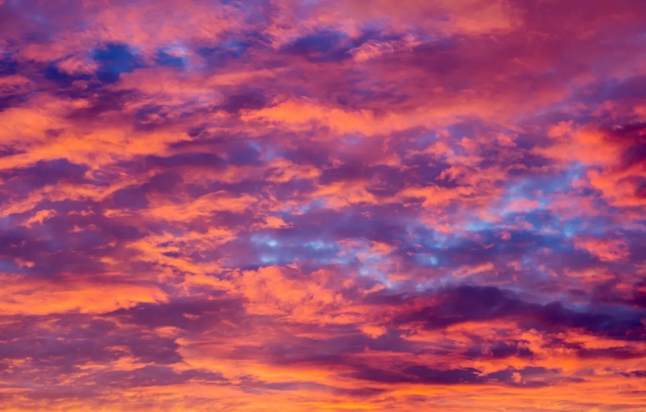Photo wallpaper the sky, clouds, sunset, background, pink, colorful, sky, sunset, pink, beautiful