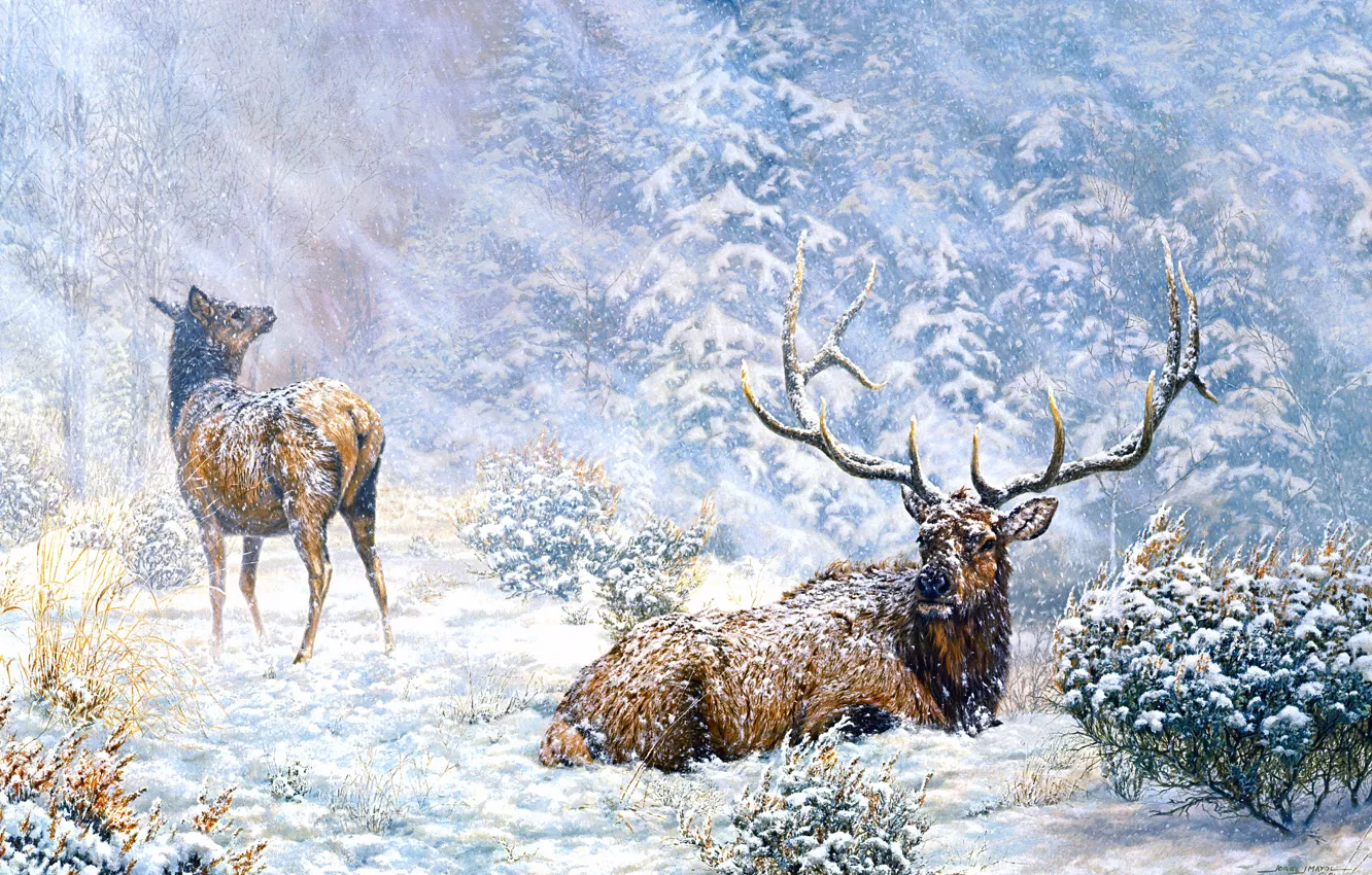 Winter Deer Stag Snow Scotland  #40803 bw 2 x Vinyl Stickers 10cm 