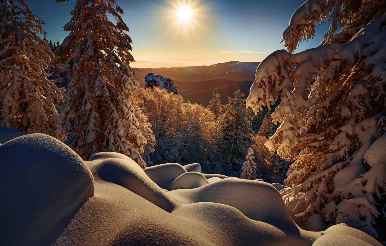 Photo wallpaper winter, the sun, rays, snow, trees, landscape, mountains, nature, morning, ate, the snow, Robert Didierjean