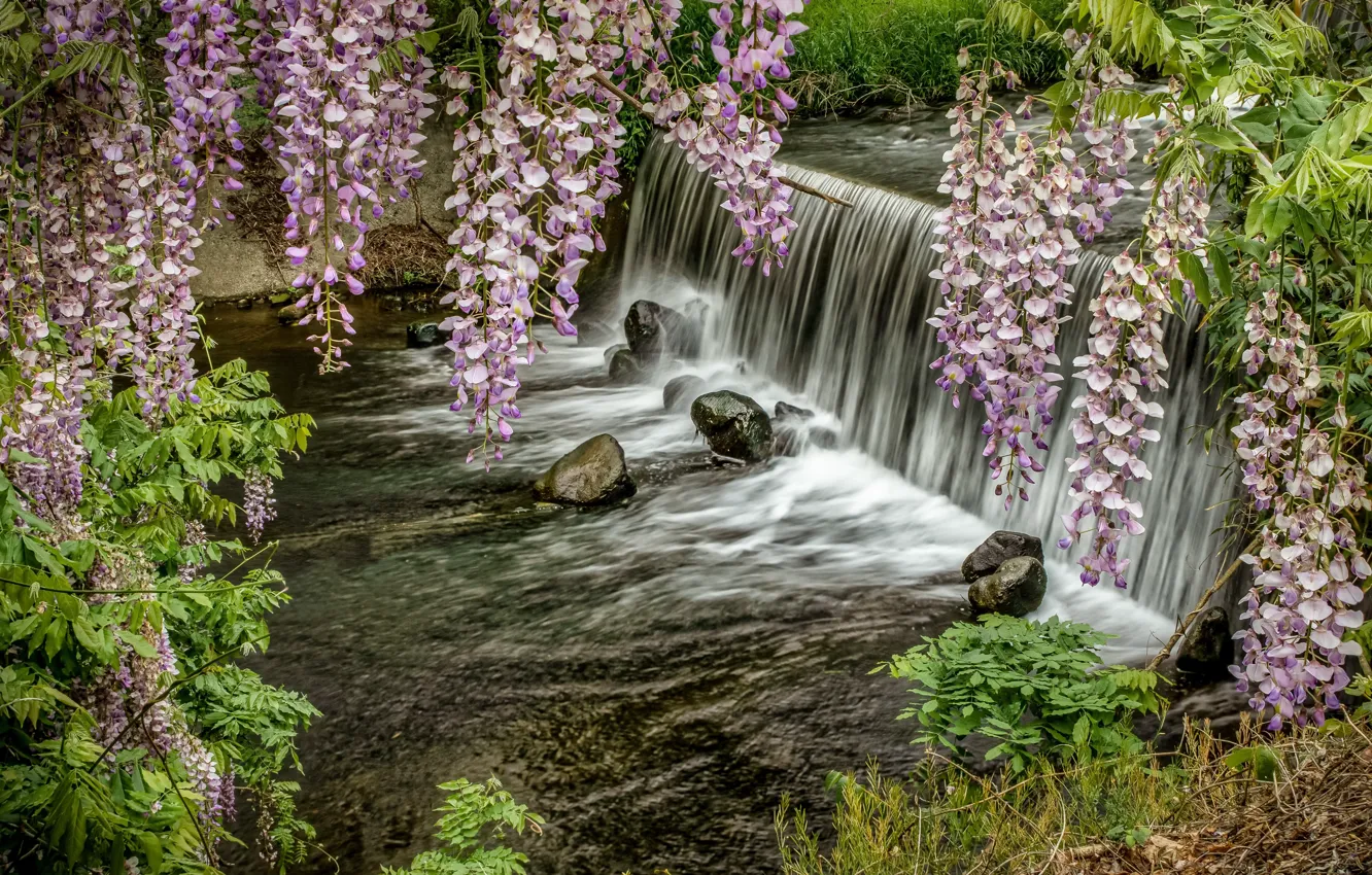 Photo wallpaper river, waterfall, spring