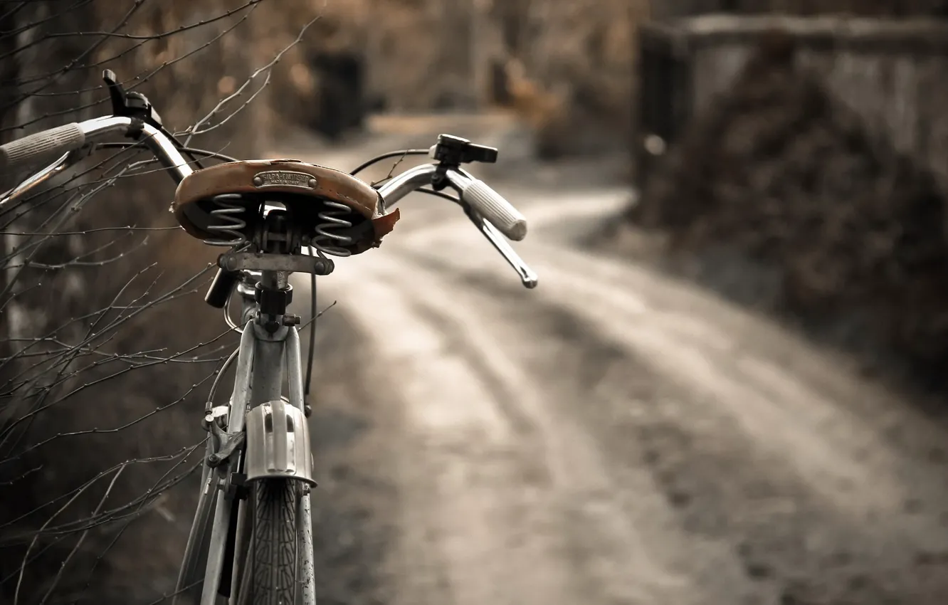 Wallpaper road, bike, background images for desktop, section разное -  download